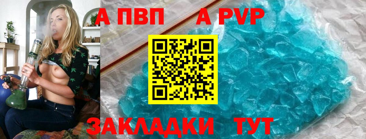 Альфа ПВП СК КРИС Кострома