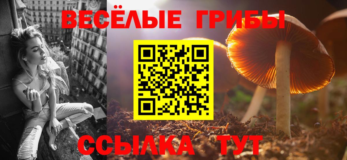 Псилоцибиновые грибы прущие грибы Кострома